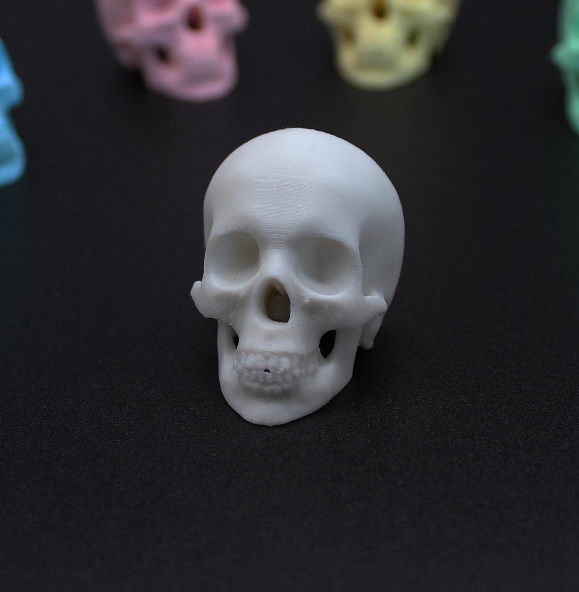 2er Set Schrankknopf SKULL Totenkopf Schrankknauf Gothic WEISS