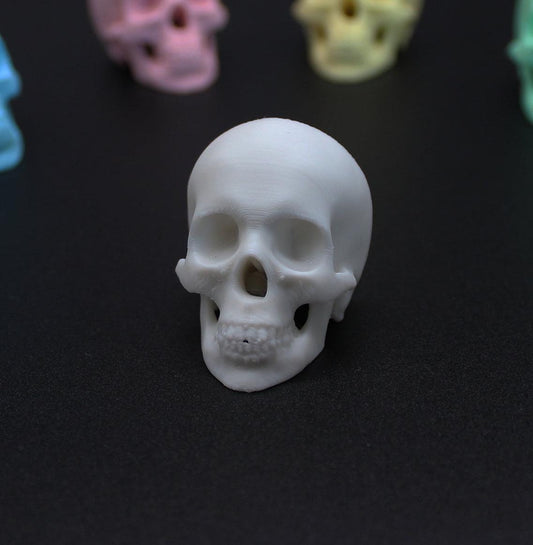 2er Set Schrankknopf SKULL Totenkopf Schrankknauf Gothic WEISS