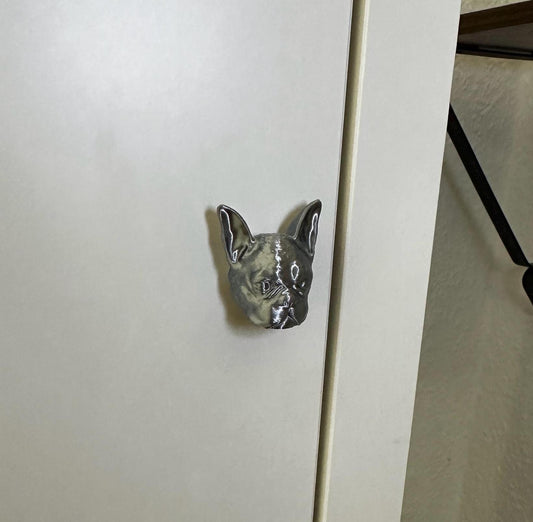 Frenchie Französische Bulldogge Schrankknopf Schrankgriff Schrankknauf silber